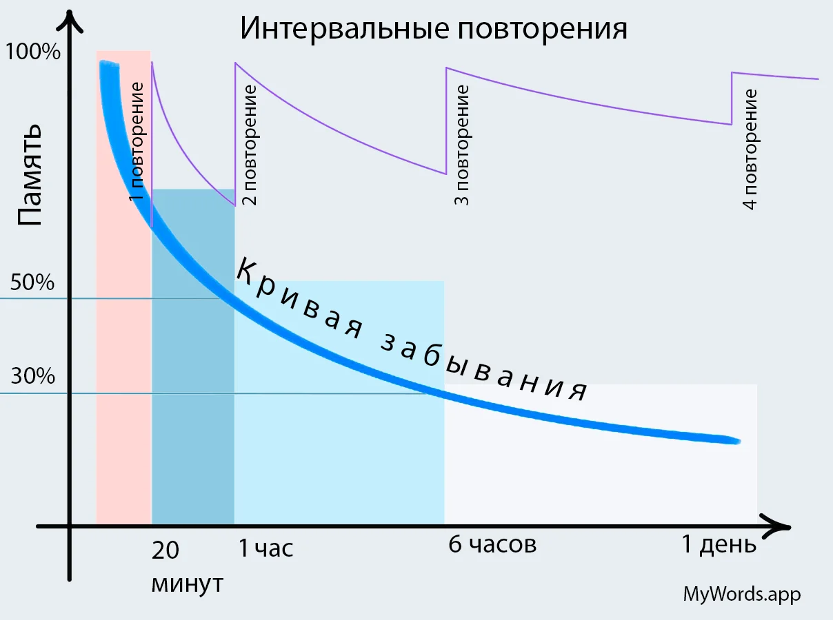 Кривая забывания и интервальные повторения