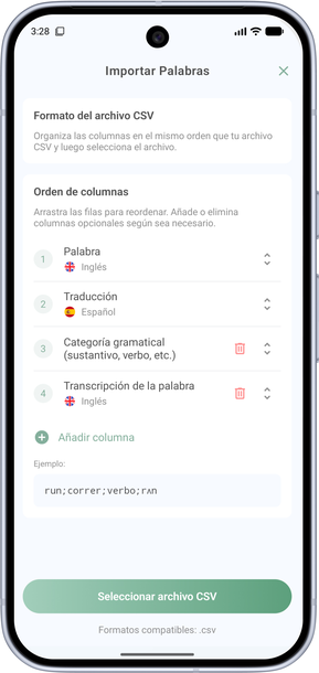 Pantalla de importación CSV 2