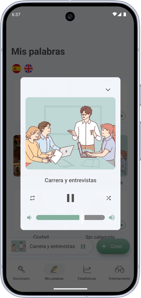 Pantalla del reproductor