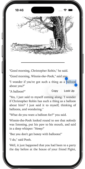 My Words reader with a word lookup from a book