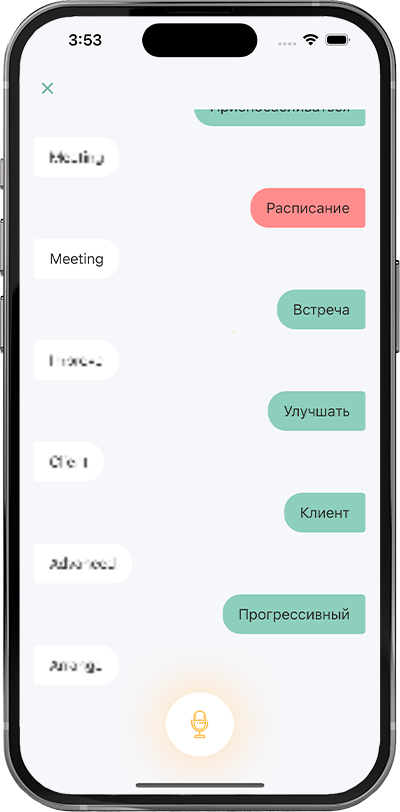 Checking the pronunciation of vocabulary