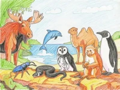 Spotlight 5 класс, модуль 5: World animals